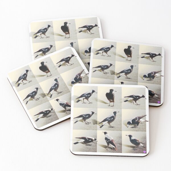 Item preview, Australian Magpies designed and sold by Trish Hart.