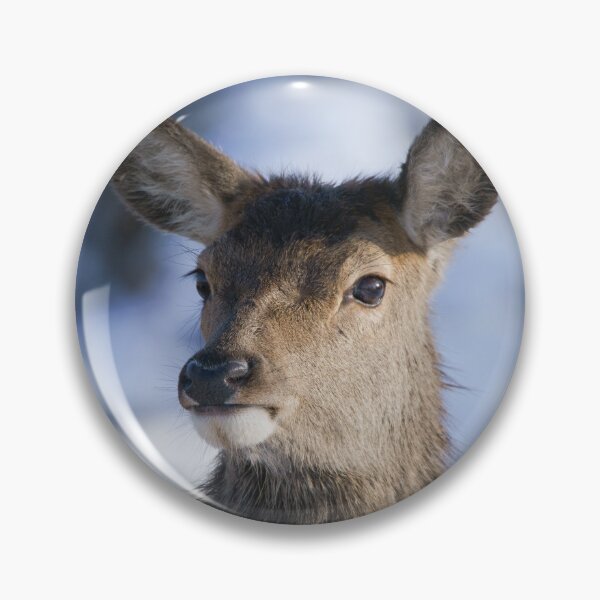 Item preview, Young Red Deer Face designed and sold by rawshutterbug.