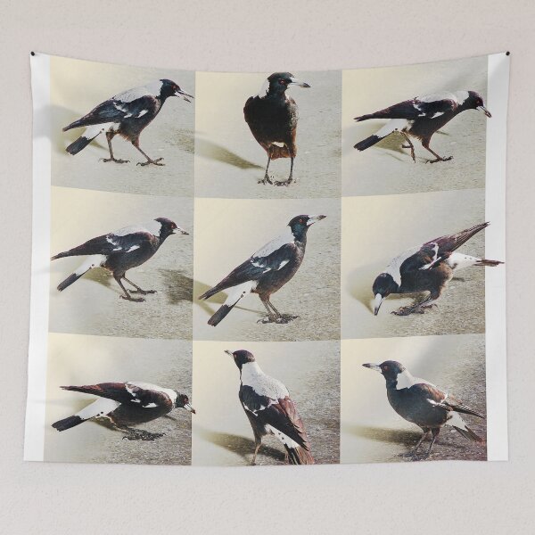 Item preview, Australian Magpies designed and sold by Trish Hart.
