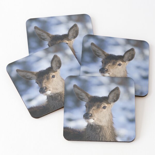 Item preview, Young Red Deer Face designed and sold by rawshutterbug.