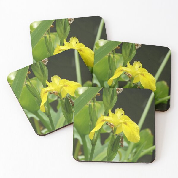 Item preview, Yellow iris designed and sold by greentiger1.