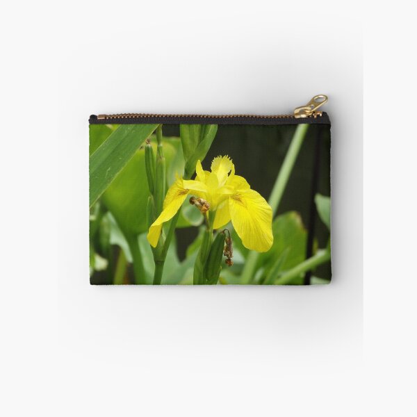 Item preview, Yellow iris designed and sold by greentiger1.