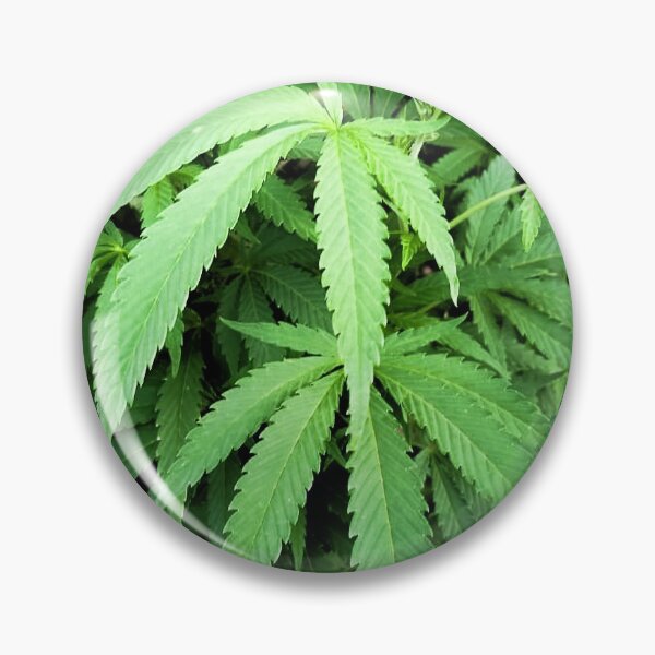 Item preview, Weed All Over Design designed and sold by aventi24.