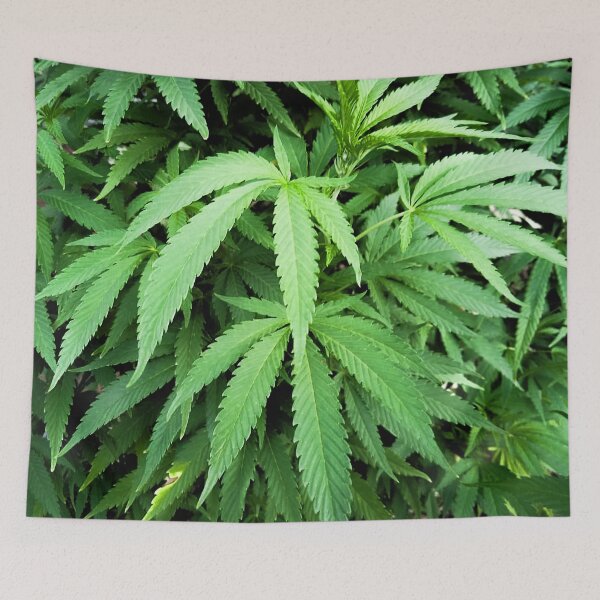 Item preview, Weed All Over Design designed and sold by aventi24.