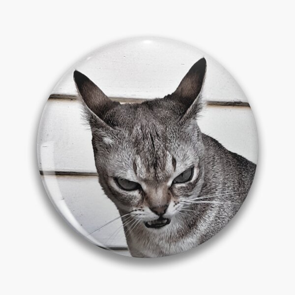 Item preview, Evil Speedball sitting evilly designed and sold by Cat-yawns.