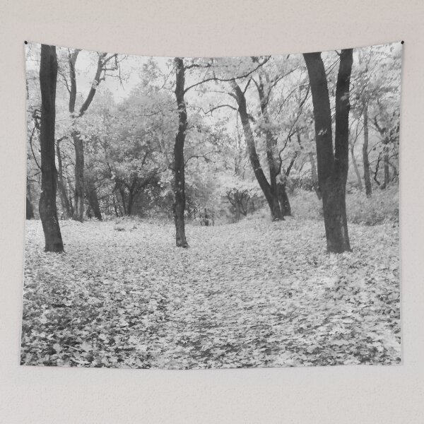 Item preview, Autumn forest, fall, natural background  designed and sold by helenkaiy.