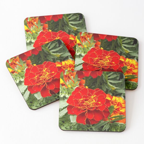 Item preview, Marigold flower designed and sold by greentiger1.