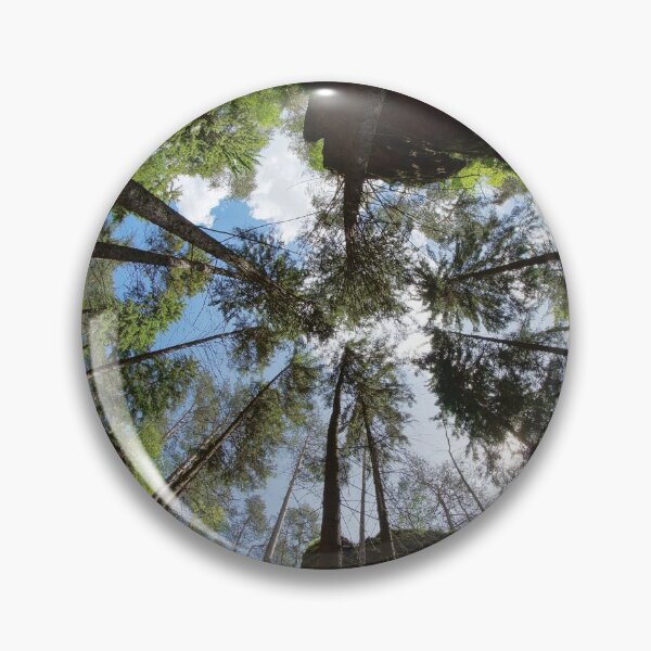 Item preview, Trees soar into the sky designed and sold by NW-Photo-Art.