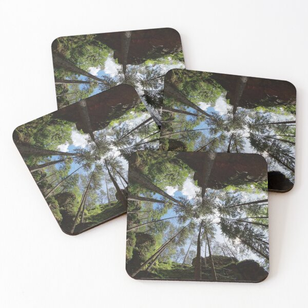 Item preview, Trees soar into the sky designed and sold by NW-Photo-Art.