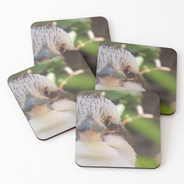 Item preview, Kookaburra 笑翠鸟 with eyes on you designed and sold by Chinaspaces.