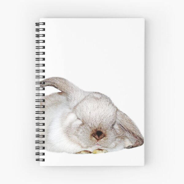 Item preview, teddy snoozing, sleeping bunny designed and sold by Trish Hart.