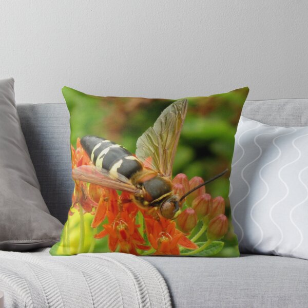 Item preview, Cicada Killer Wasp designed and sold by shutterbug2010.