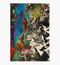 Hidden Monsters Photographic Print
