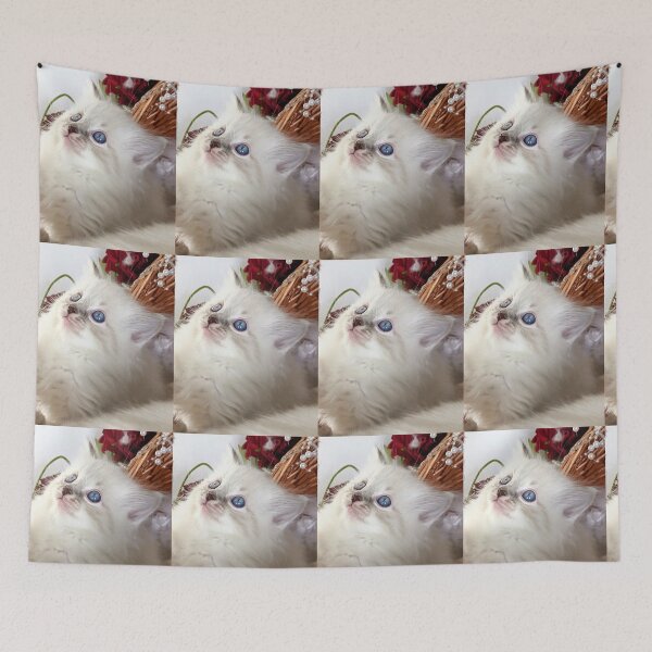 Item preview, Lynx ragdoll kitten designed and sold by Fluffycat2020.