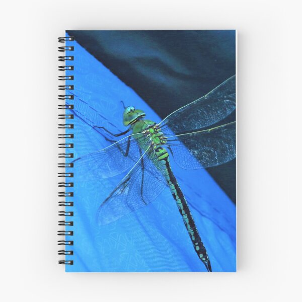 Item preview, Docile Dragonfly designed and sold by Fearless-Fox.