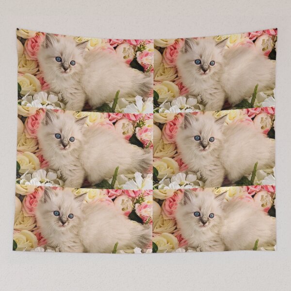 Item preview, Lynx ragdoll kitten designed and sold by Fluffycat2020.