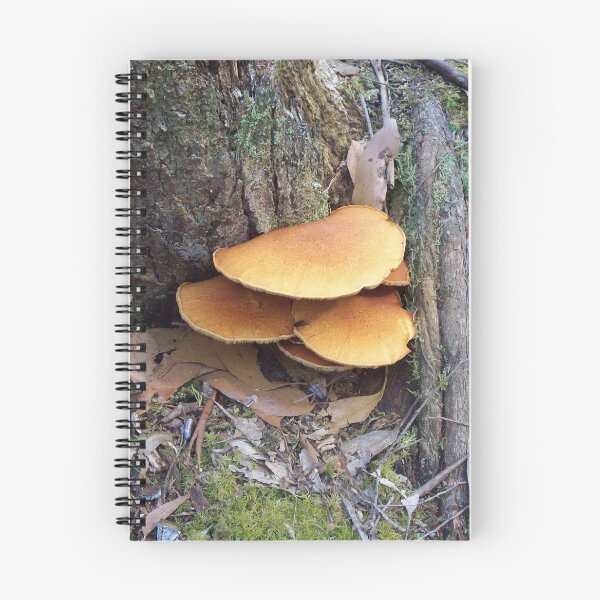 Item preview, Pancake Stack designed and sold by Eleanor Wylie.