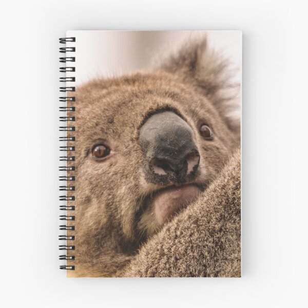 Item preview, Koala 3 designed and sold by Werner Padarin.