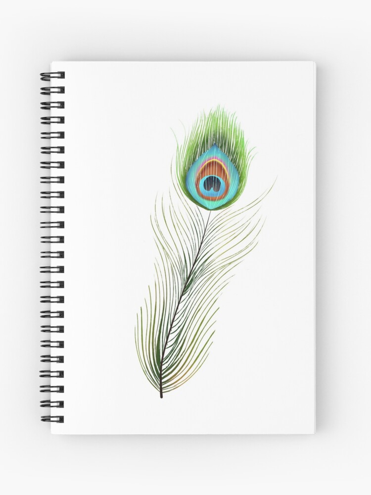 Peacock Feather Drawings - 8 Drawn Peacock Feathers & Designs