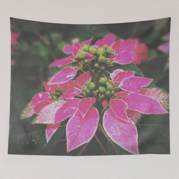 Item preview, Christmas Flower designed and sold by Nefarious-T.