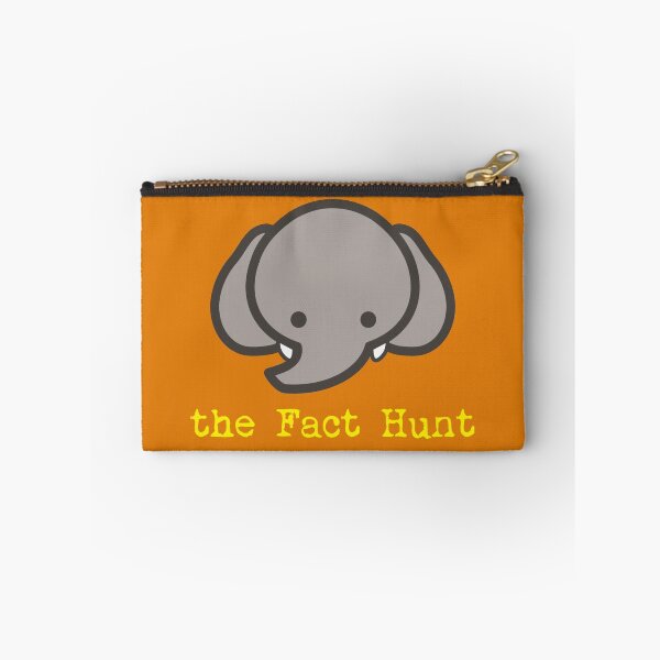Item preview, The Fact Hunt designed and sold by JenGo Creative.