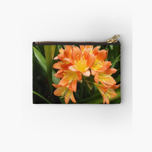 Item preview, Clivia flowers designed and sold by greentiger1.