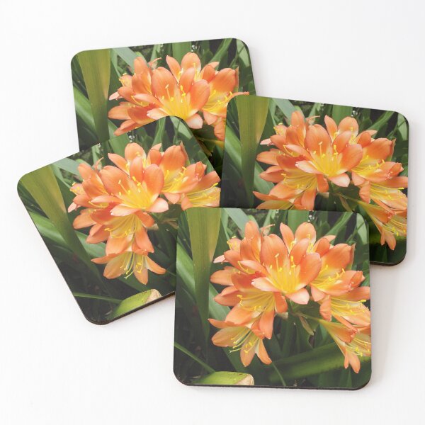 Item preview, Clivia flowers designed and sold by greentiger1.