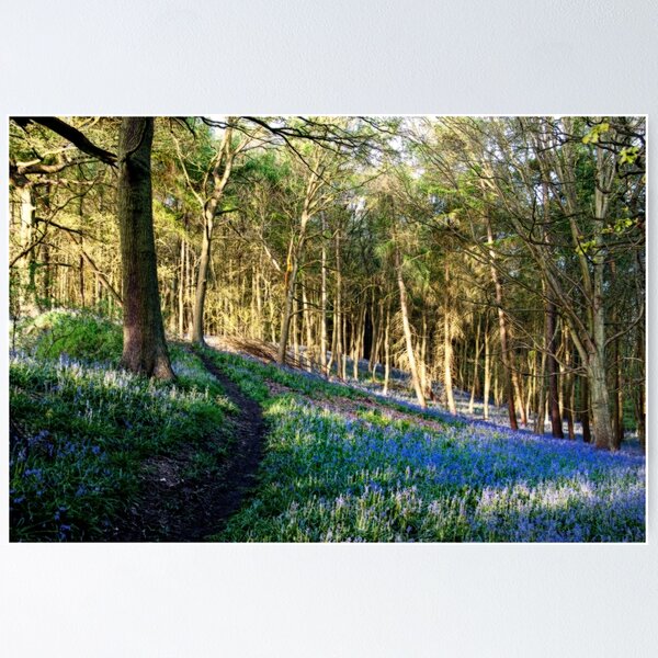 Item preview, Pilgrims Path designed and sold by Creative by Design.