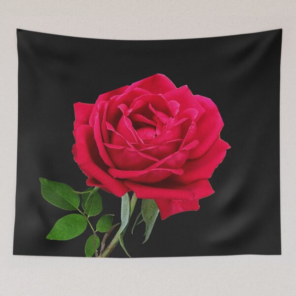 Item preview, Single Velvety Silky Smooth Bright Red Rose  designed and sold by simpleones.