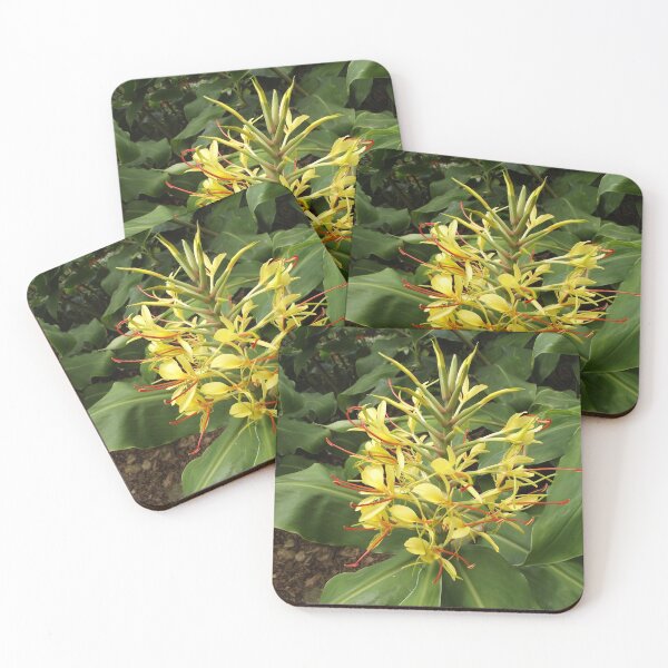 Item preview, Ginger flowers designed and sold by greentiger1.