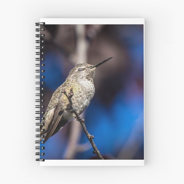 Item preview, Hummingbird resting eyes designed and sold by gerardofm4.