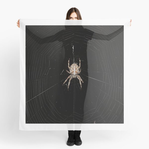 Foulards Sur Le Theme Araign C3 e Orbe Redbubble