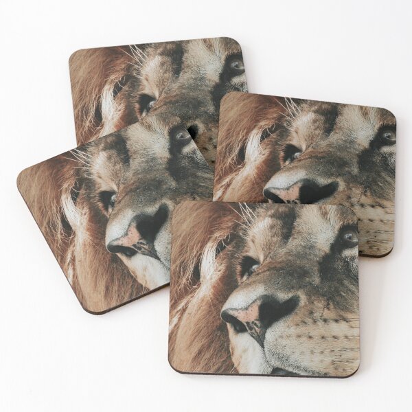 Item preview, African lion portrait designed and sold by Melissa Peltenburg.