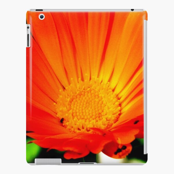 Calendula Beauty iPad Snap Case