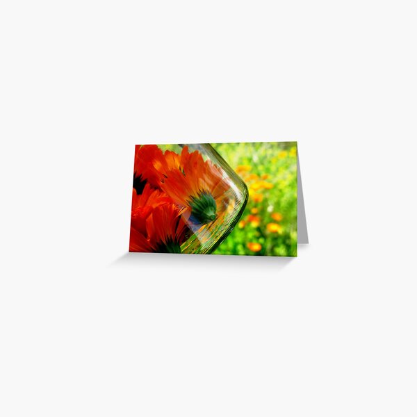 Calendula in Bottle Greeting Card