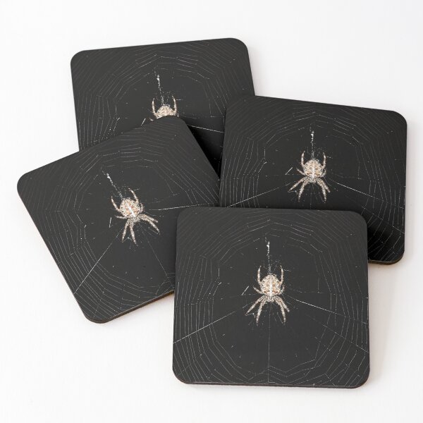 Item preview, Garden spider in the center of its orb web designed and sold by NW-Photo-Art.