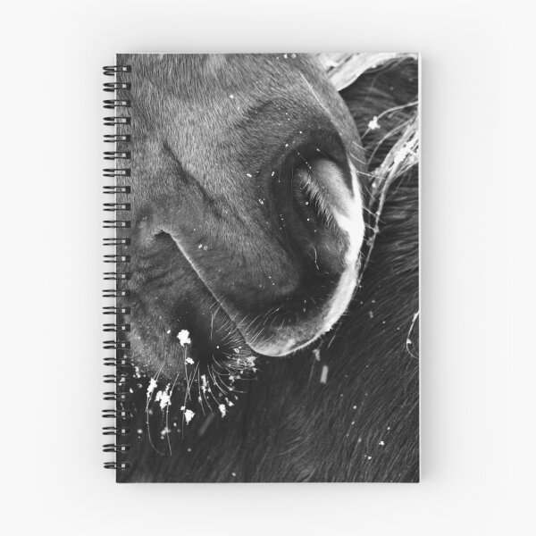 Item preview, 27.1.2021: Pony’s Muzzle designed and sold by Petri Volanen.