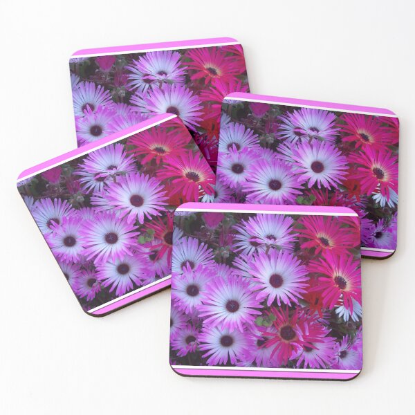 Item preview, Dazzling Livingstone Daisies designed and sold by Eleanor Wylie.