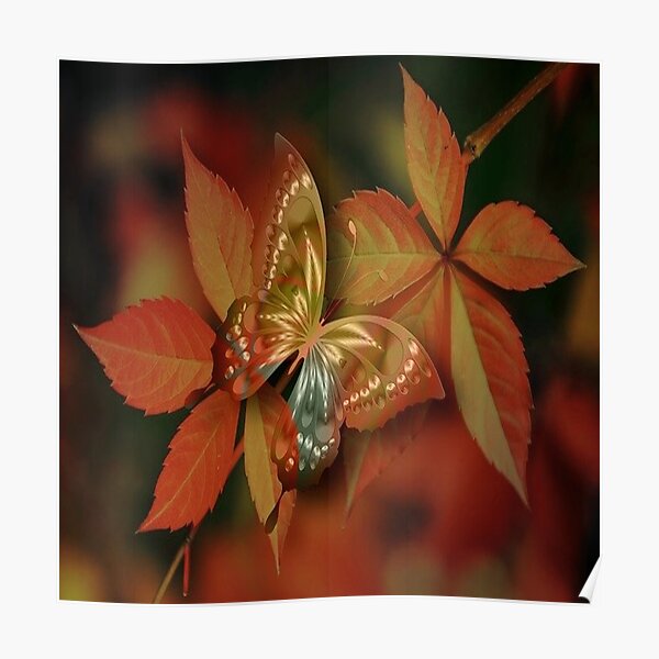 Beautiful Butterfly. Poster