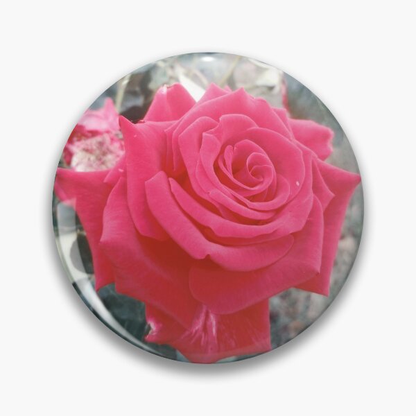 Item preview, Beautiful red rose, natural background designed and sold by helenkaiy.
