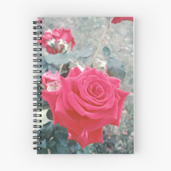 Item preview, Beautiful red rose, natural background designed and sold by helenkaiy.