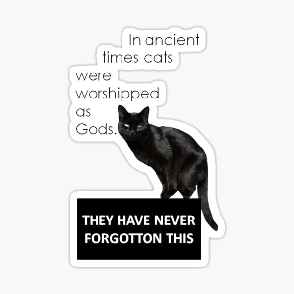 In Ancient Times Cats Were Worshipped As Gods Sticker