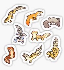 chub gecko babies Sticker