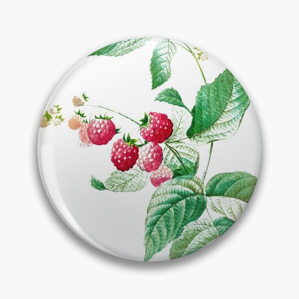 Artikelvorschau, Vintage Himbeer Illustration entworfen und verkauft von the-cold-dots.