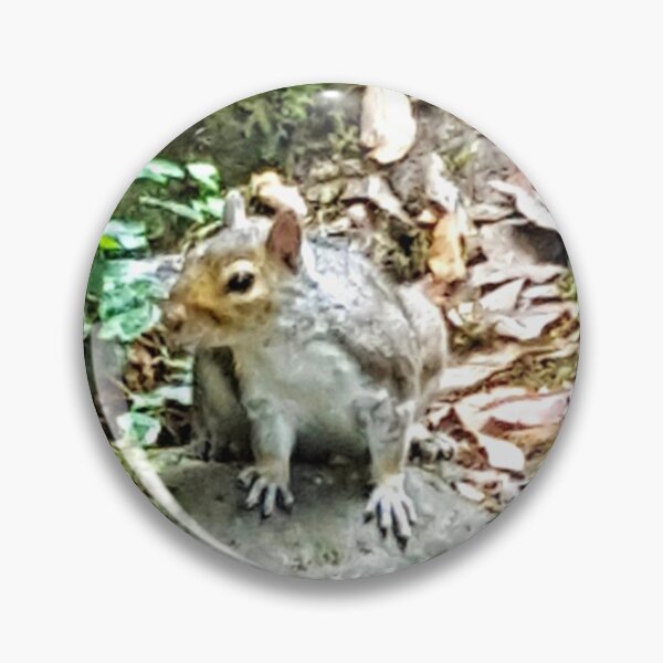 Item preview, Squirrel Sighting designed and sold by FlorielleFashion.