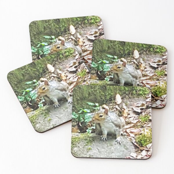 Item preview, Squirrel Sighting designed and sold by FlorielleFashion.