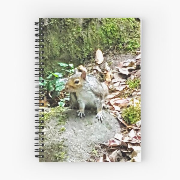 Item preview, Squirrel Sighting designed and sold by FlorielleFashion.