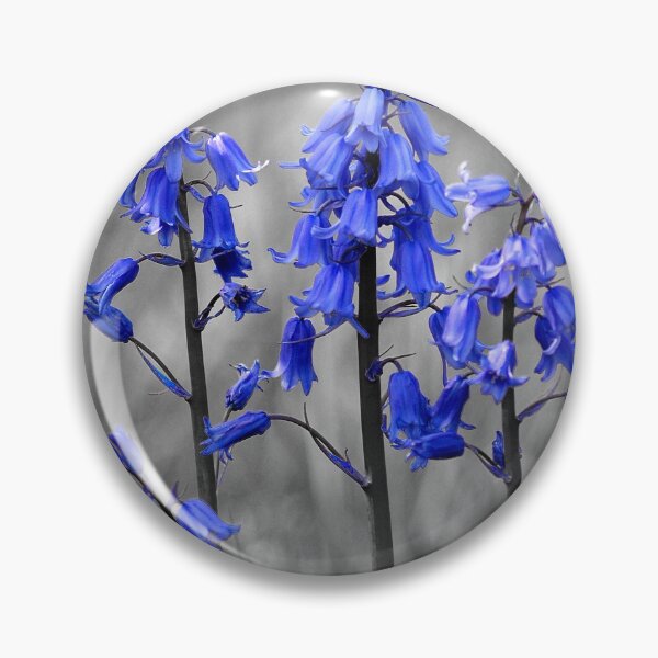 Item preview, Bluebells designed and sold by Anthony Hedger Photography.