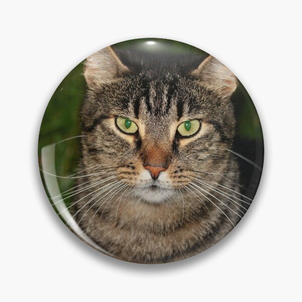 Item preview, Portrait of Kater Kasemier designed and sold by NW-Photo-Art.