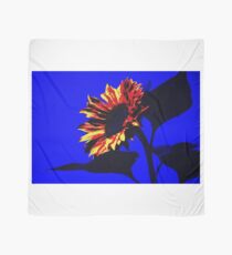 Burning Sunflower, Blue. Scarf